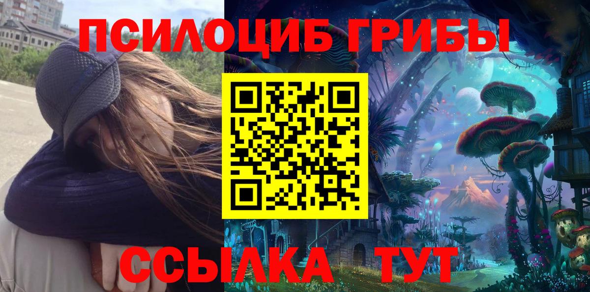 Узловая  Псилоцибиновые грибы прущие грибы  Вход с VPN 