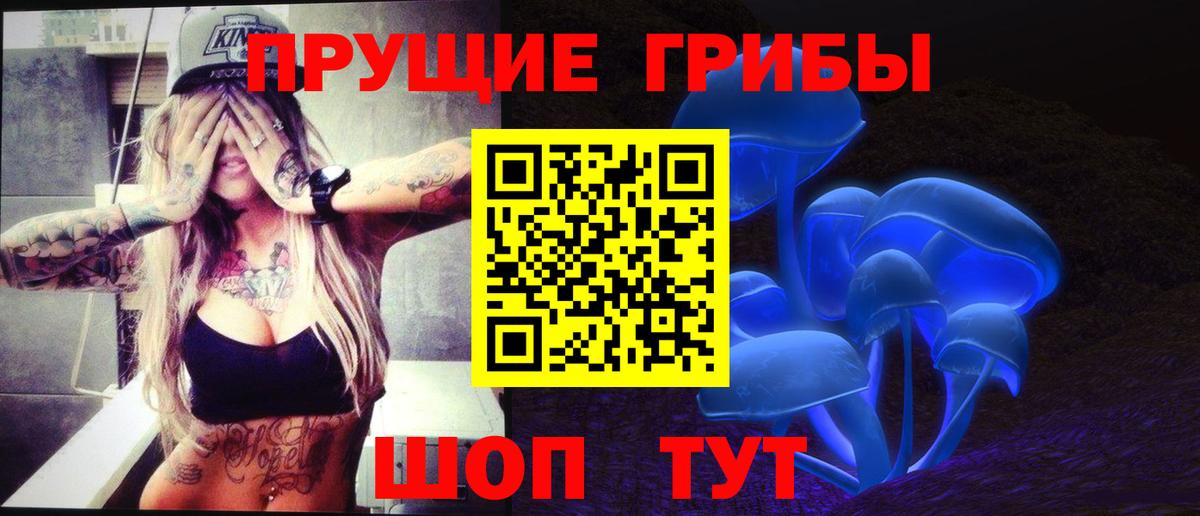 Галлюциногенные грибы GOLDEN TEACHER Узловая