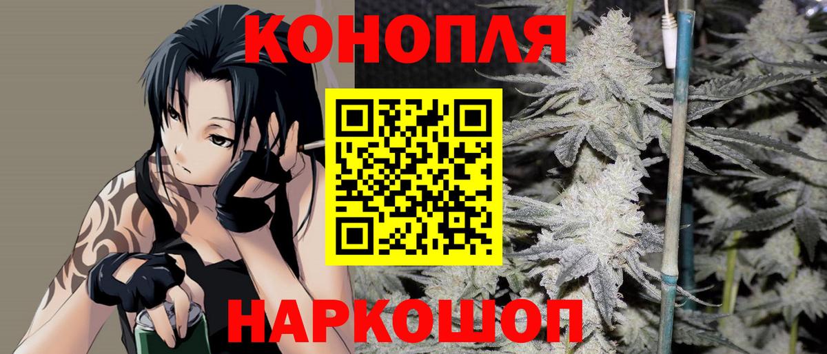 Конопля SATIVA & INDICA  Вход с VPN  Узловая  Конопля White Widow  Каннабис сатива 